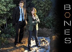 Serial, Bones, Kości, David Boreanaz, Emily Deschanel