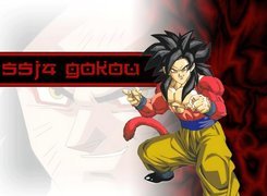 Dragon Ball, SSJ4 Gokou