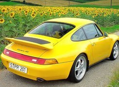 Porsche 993, Carrera RS