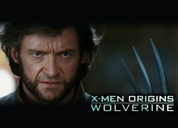 Wolverine Origins