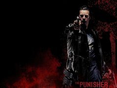 The Punisher, 2004, Pistolety