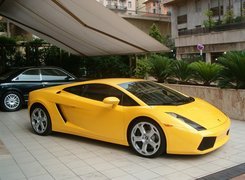 Żółty, Lamborghini Gallardo