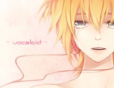 Vocaloid, Len Kagamine, Łzy