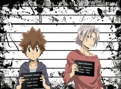 Katekyo Hitman Reborn, Tsunayoshi Sawada, Hayato Gokudera