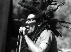 Bob Marley, Dredy, Mikrofon