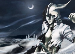 Bleach, Ulquiorra Shiffer