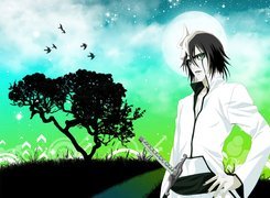 Bleach, Ulquiorra Shiffer, Ptaki, Drzewo