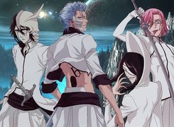 Bleach, Espada