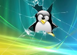 Linux,Pingwin,Vista,rozbicie Tła na Facebooka