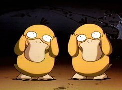 Psyduck, Para