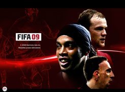 Fifa 2009, Ribery, Ronaldinho