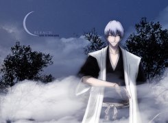 Bleach, Gin Ichimaru, Noc