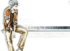 Bleach, Grimmjow Jaggerjack, Postać