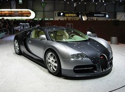Bugatti Veyron, Srebrny, Czarny, Targi