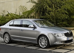 Srebrna, Skoda Superb, Prawy, Bok