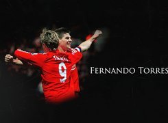 Liverpool, Fernando Torres