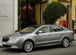 Srebrny, Skoda Superb, Ulica, Witryna