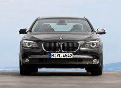 Przód, BMW seria 7 F01, Atrapa, Grill