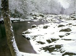 Zima, Rzeka