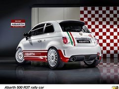 Abarth 500, Rally, Skorpion