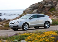 Acura ZDX