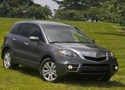 Acura RDX, Halogeny, Atrapa, Chrom