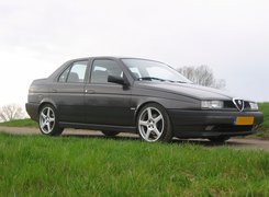 Alfa Romeo 155