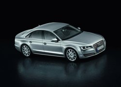 Srebrne, Audi A8 D4, Profil