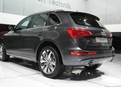 Grafitowe, Audi Q5, Lampa, Tył