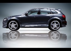 Audi Q5, Progi, ABT