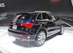 Audi Q5, Salon, Genewa