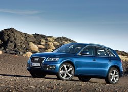 Audi Q5, Profil, Lewy