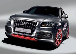 Audi Q5, Concept