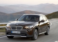 Brązowe, BMW X1, 23d