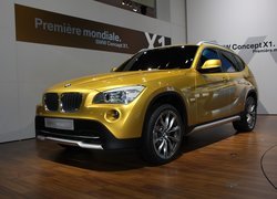 BMW X1, Pakiet, Sport