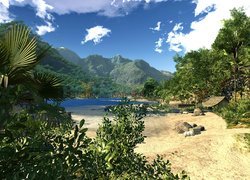 Just Cause 2, Sceneria