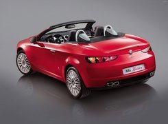 Alfa Romeo Spider, Układ, Wydechowy