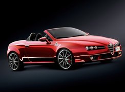 Alfa Romeo Spider, Lusterka