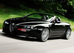 Alfa Romeo Spider, Pakiet, Novitec