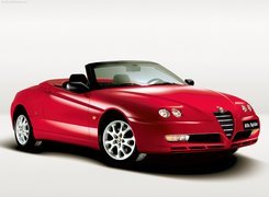 Różowa, Alfa Romeo Spider, Kabriolet