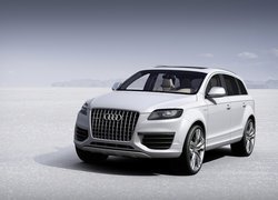 Audi Q7, Atrapa