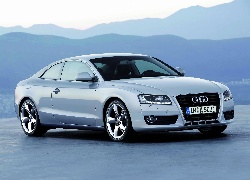 Audi A5, Halogeny, Alufelgi