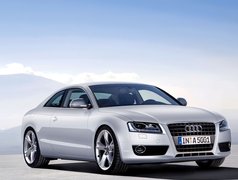 Audi A5, Halogeny