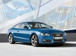 Audi A5, Reklama, Katalog