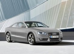 Audi A5, Brak, Klamek