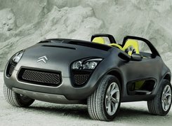 Citroen C-Buggy, Emblemat, Firmowy