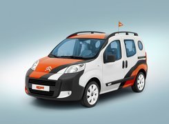 Citroen Nemo, Relingi, Dachowe