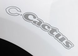 Logo, Citroen C-Cactus