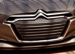 Citroen Metropolis, Grill