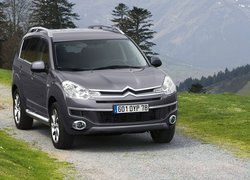 Citroen C-Crosser, Krajobraz